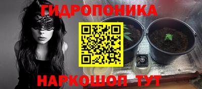 гашик Лесосибирск