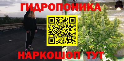 гашик Лесосибирск