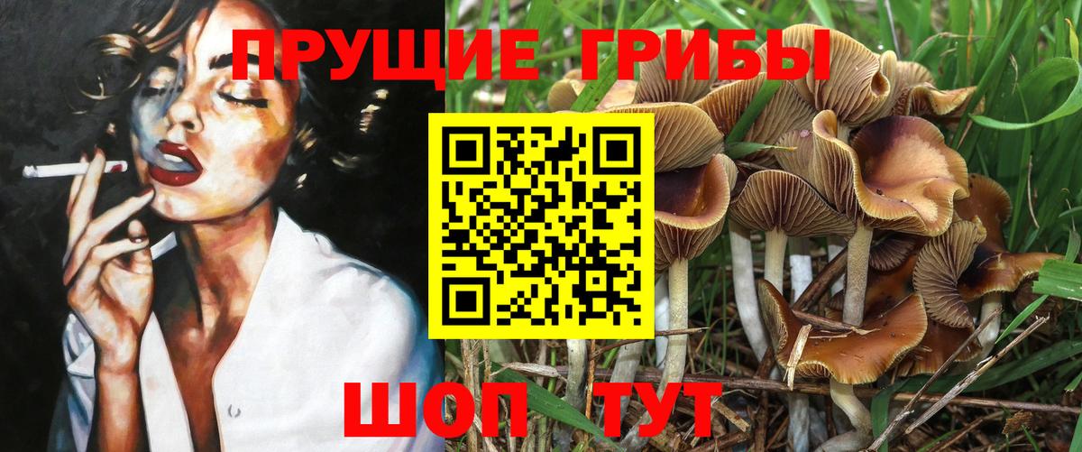 Галлюциногенные грибы Magic Shrooms Нефтекамск