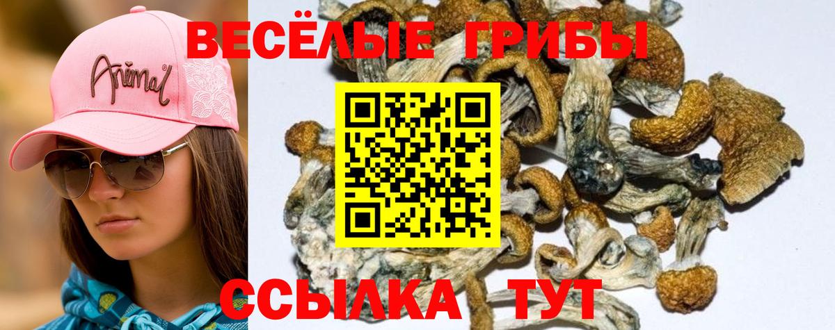 Псилоцибиновые грибы мухоморы  Вход с VPN  Псилоцибиновые грибы Psilocybe  Нефтекамск 