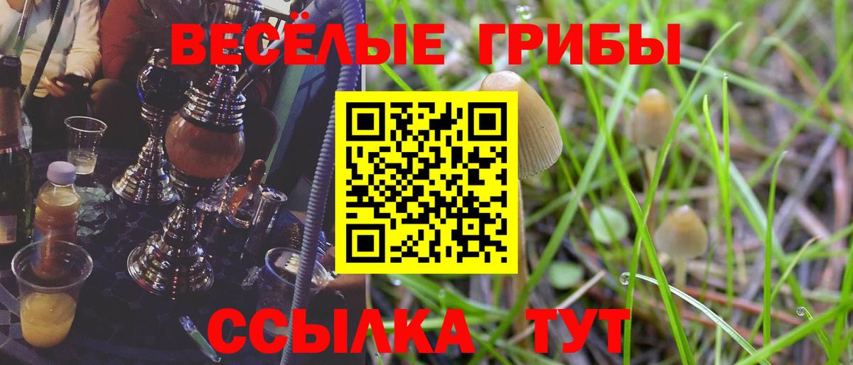 Псилоцибиновые грибы ЛСД  Нефтекамск  Галлюциногенные грибы прущие грибы 